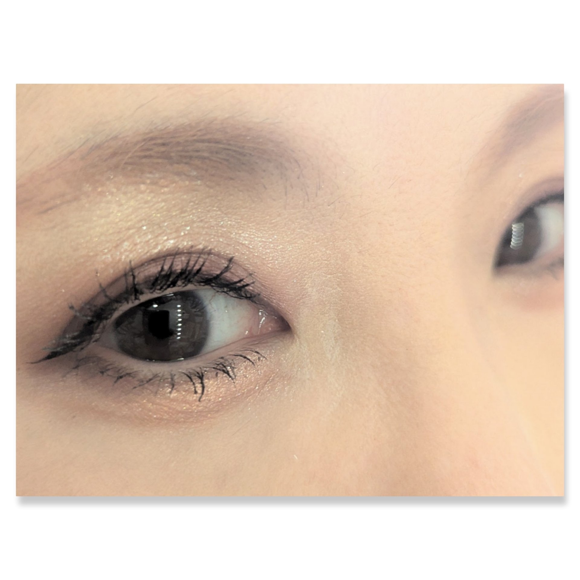 ジュエリーシャドウベール/キャンメイク/アイシャドウパレットを使ったクチコミ（2枚目）