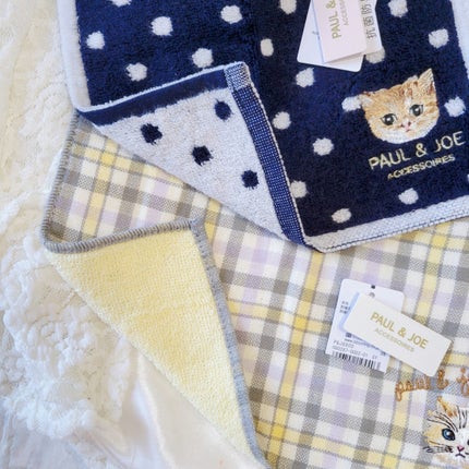 yuki on LIPS 「PAUL&JOE︎︎︎︎︎︎ᗢ/┈┈┈┈┈┈┈┈┈┈ポール&ジ..」(4枚目)