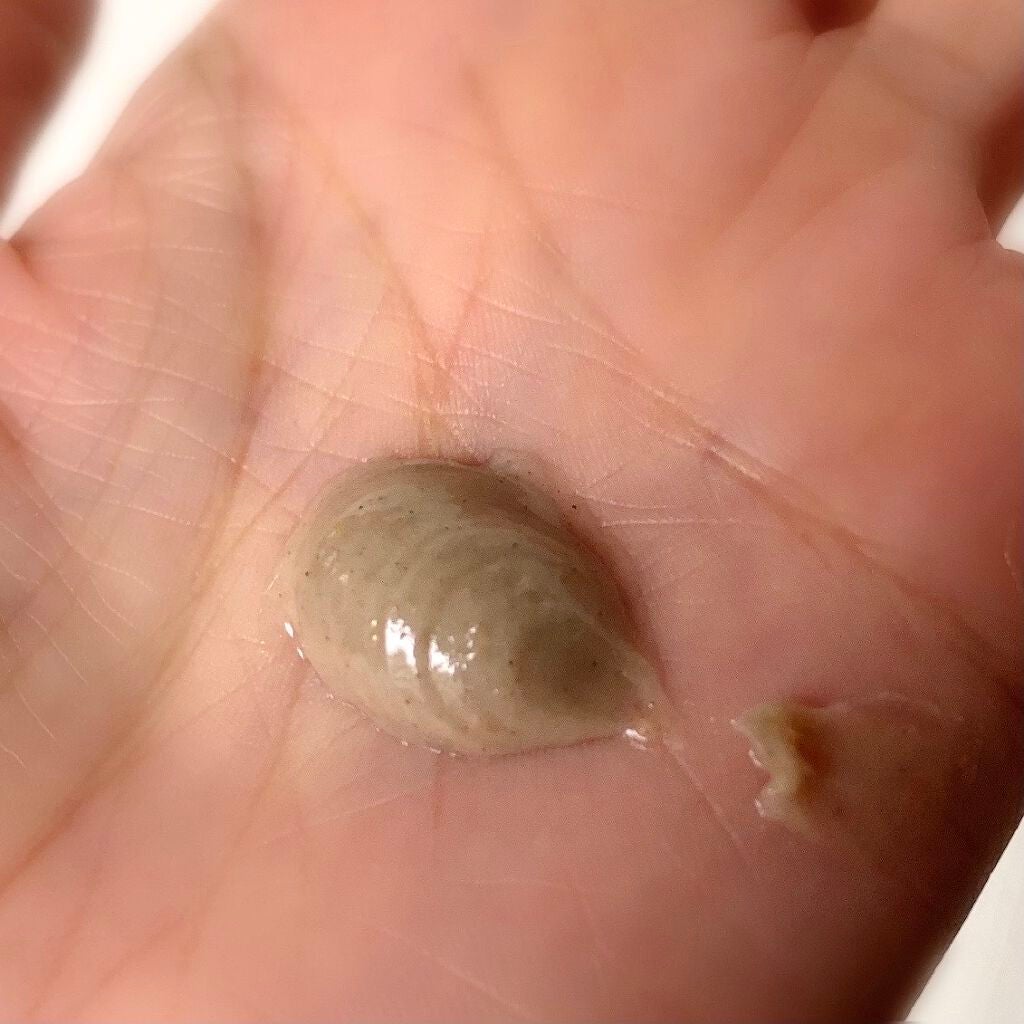 スクラビング マッド ウォッシュ/KANEBO/洗顔フォームを使ったクチコミ(3枚目)