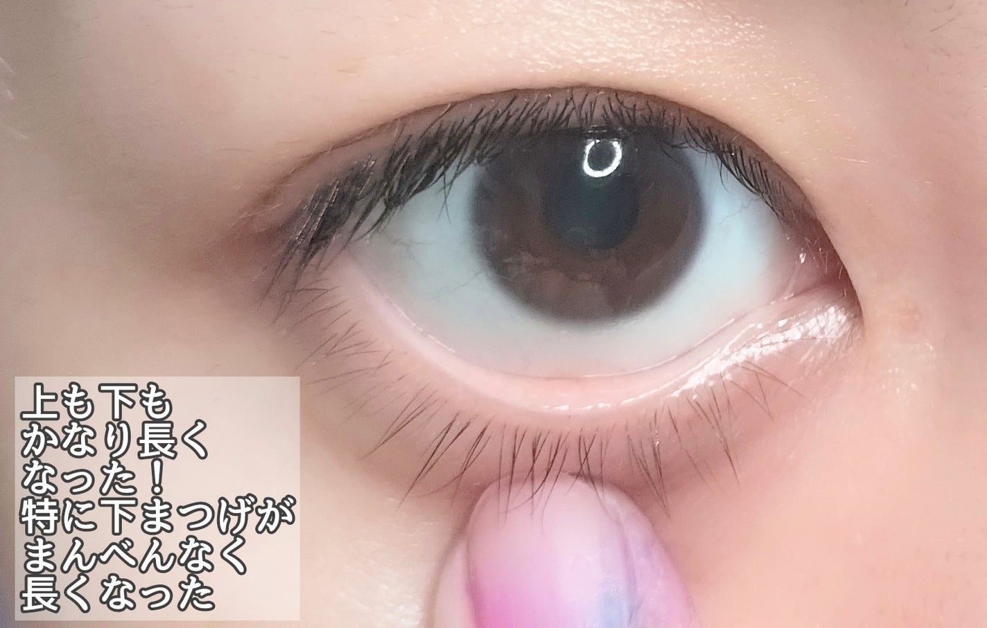 まつ毛デラックス WMOA/ニューモ/マスカラ下地を使ったクチコミ(2枚目)