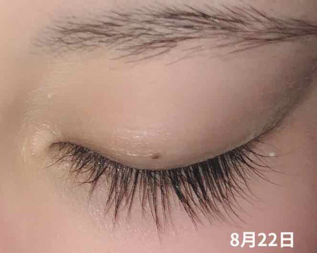 EMAKED(エマーキット)/水橋保寿堂製薬/まつげ美容液を使ったクチコミ(3枚目)