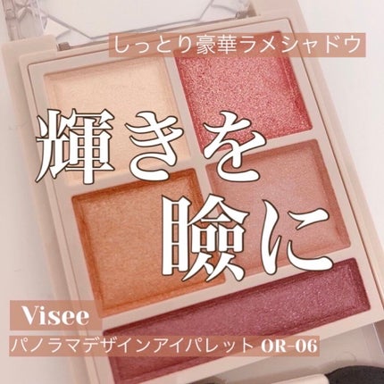パノラマデザイン アイパレット/Visée/アイシャドウパレットを使ったクチコミ(1枚目)