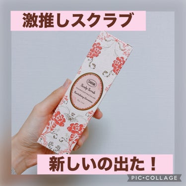 ✔︎SABON ヘッドスクラブ リプレニッシング ゼラニウム 90g
¥2420(SABON)

少し前に大好きなSABONのヘッドスクラブがリニューアル！以前のものは香りが2種類あったのですが、今回は