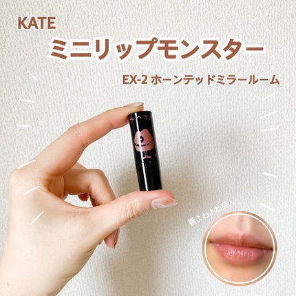 ケイト リップモンスター/KATE/口紅を使ったクチコミ(1枚目)