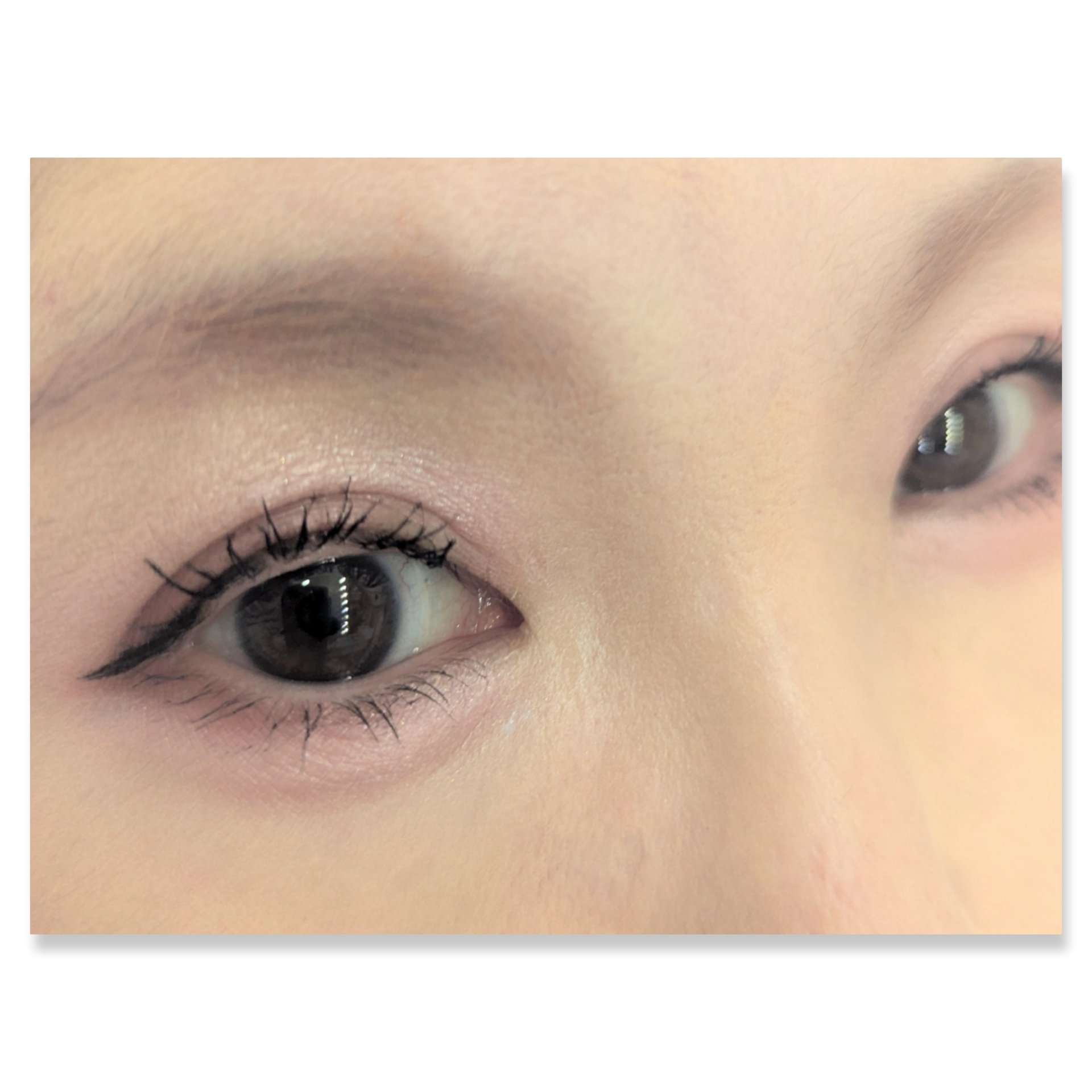 ベージュトーンアイシャドウ/CEZANNE/アイシャドウパレットを使ったクチコミ（2枚目）