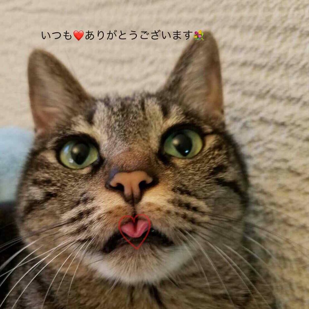 プロ シングル シャドウ/CLIO/単色アイシャドウを使ったクチコミ(3枚目)