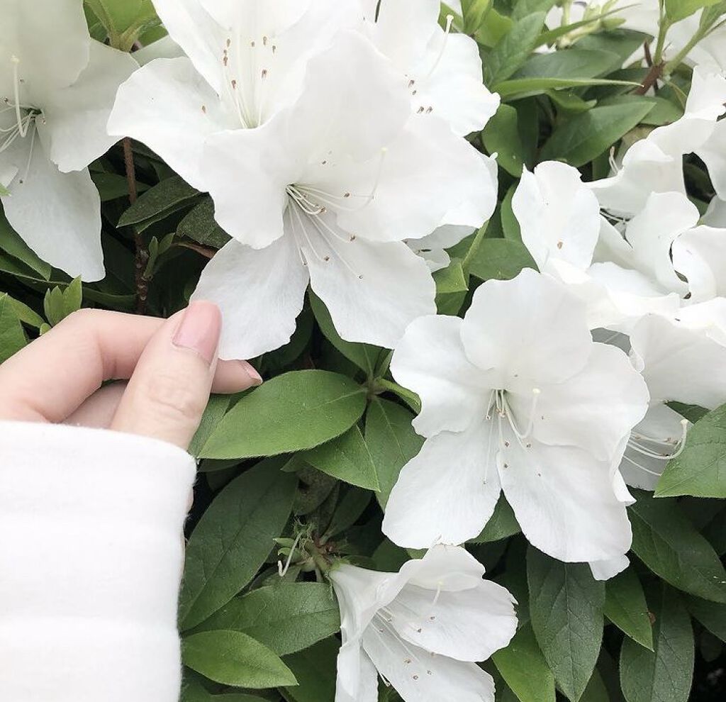 &honey  Creamy EXダメージリペアヘアオイル3.0/&honey/ヘアオイルを使ったクチコミ（2枚目）