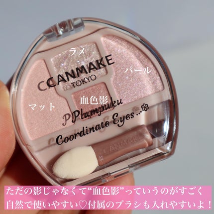 プランぷくコーデアイズ/キャンメイク/パウダーアイシャドウを使ったクチコミ(7枚目)