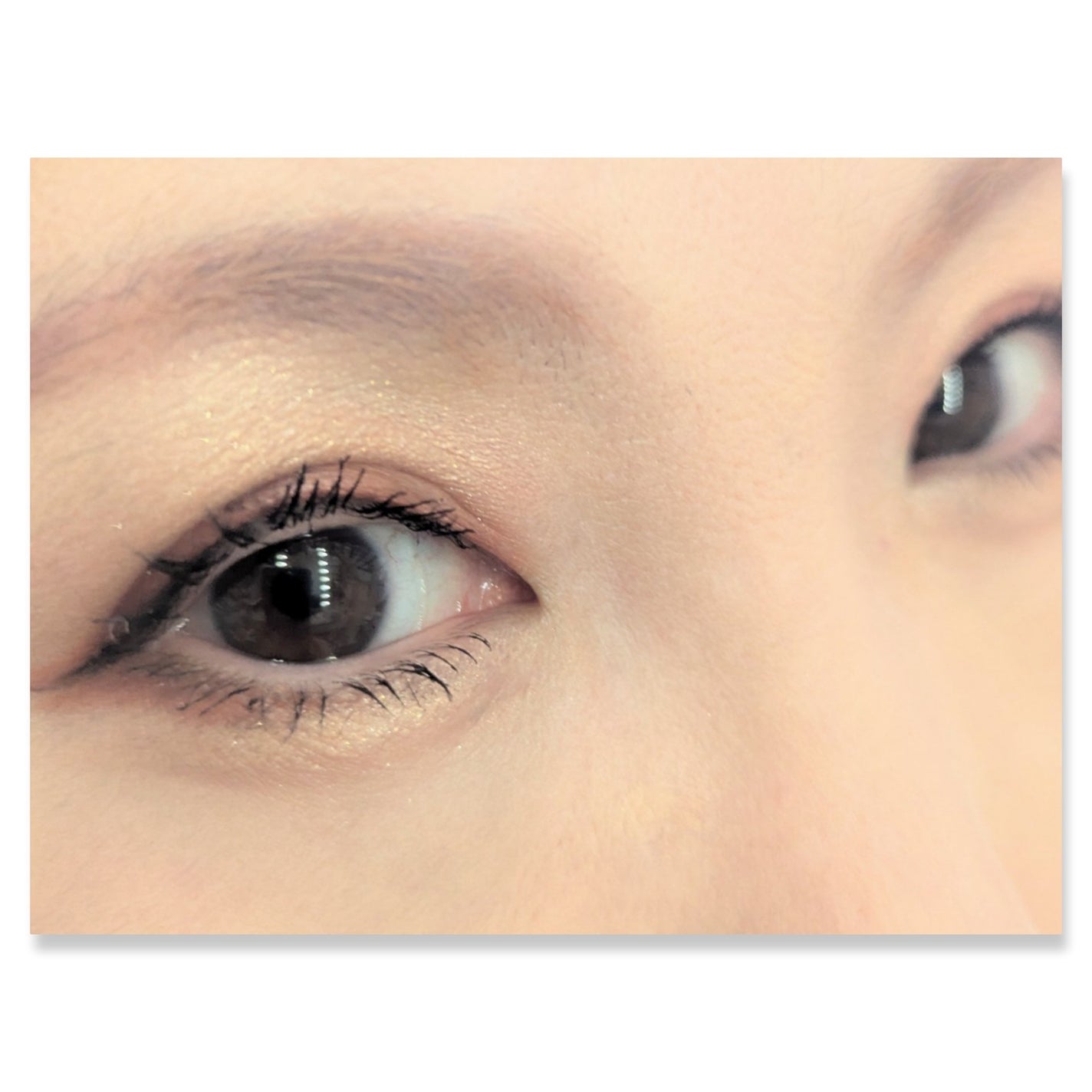 グラデーション アイシャドウ/ちふれ/アイシャドウパレットを使ったクチコミ(2枚目)