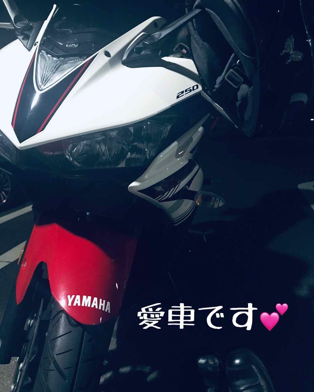 ヘアービューザーエクセレミアム2D Plus プロフェッショナル HBE2D-P/LUMIELINA/ドライヤーを使ったクチコミ（3枚目）