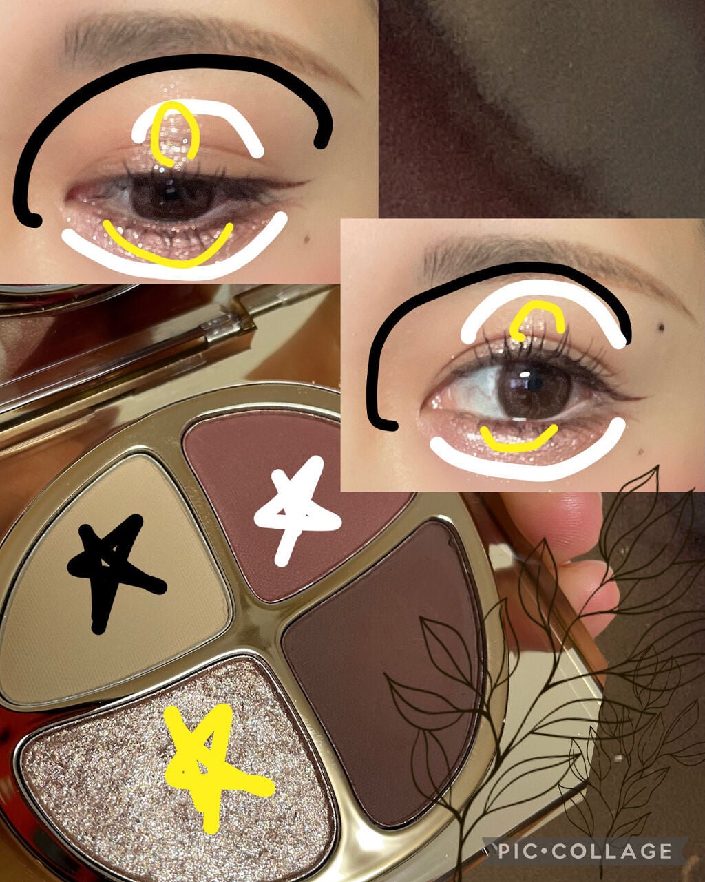 貝殻マルチパレット/Joocyee/アイシャドウパレットを使ったクチコミ(3枚目)