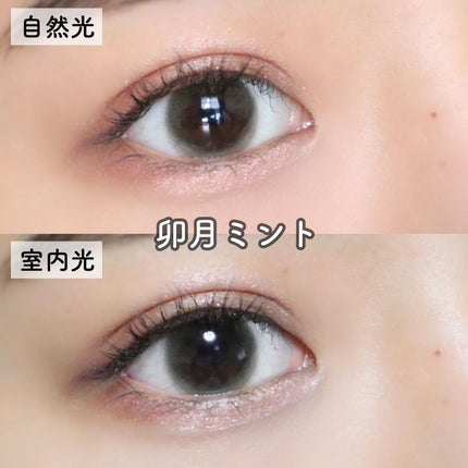 NARERU 1day/NARERU/ワンデー(1DAY)カラコンを使ったクチコミ(5枚目)