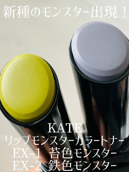 ケイト リップモンスターカラートナー/KATE/口紅を使ったクチコミ(1枚目)