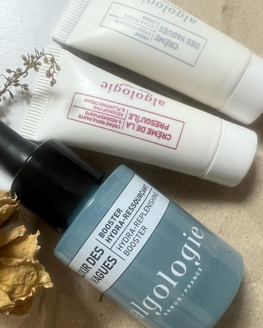 ハイドラセラム ブースター/algologie/美容液を使ったクチコミ(2枚目)