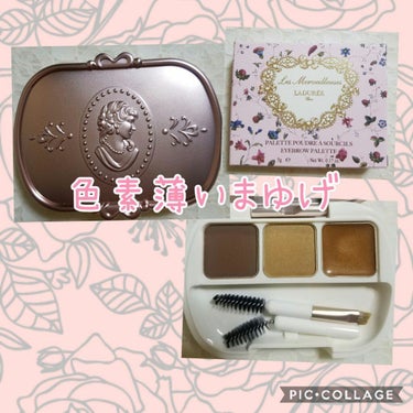 レ・メルヴェイユーズ ラデュレ アイブロウ パレットのクチコミ「#LADUREE #ラデュレ #アイブロウパレット 02

美しい目元を完成させるためのアイブ.....」（1枚目）