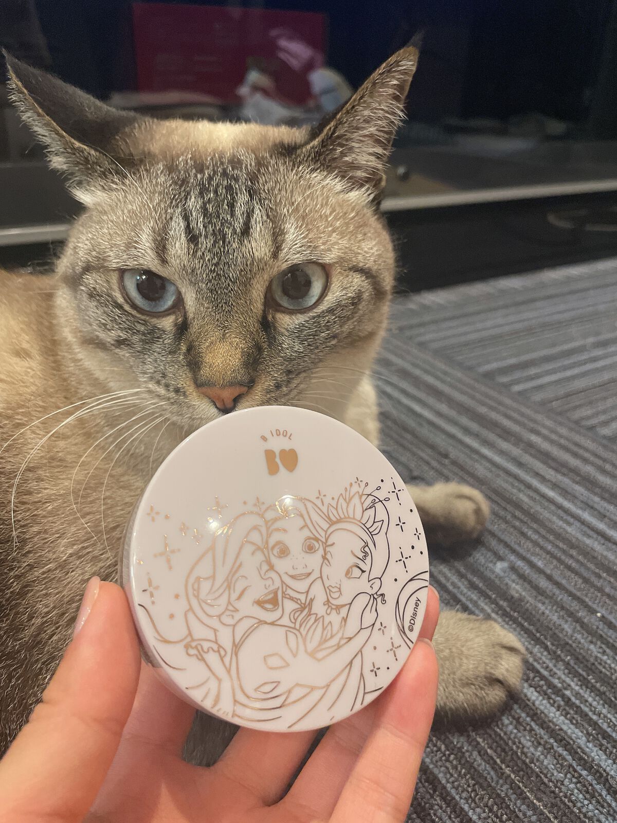 フィキシング ミスト/PAUL & JOE BEAUTE/フィックスミストを使ったクチコミ（1枚目）