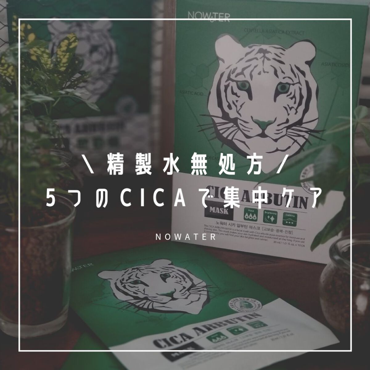 シカアルブチンマスク/NOWATER/シートマスク・パックを使ったクチコミ（1枚目）