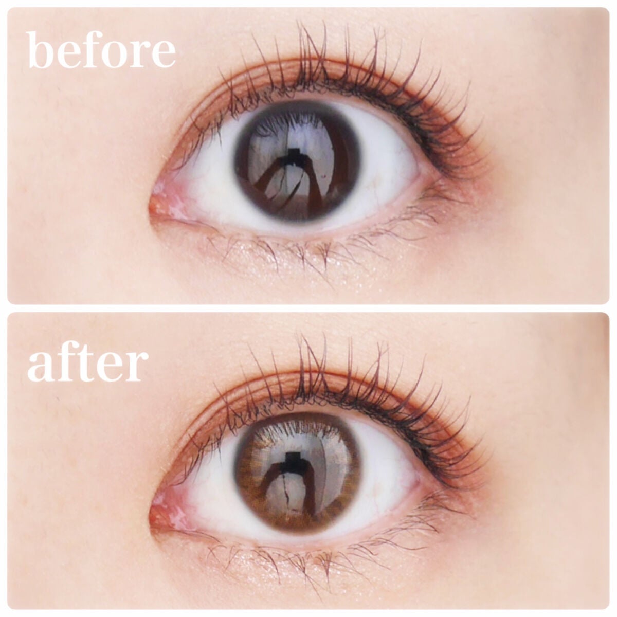 1day Etoē /Etoe By Twinkle Eyes/ワンデー(1DAY)カラコンを使ったクチコミ(4枚目)