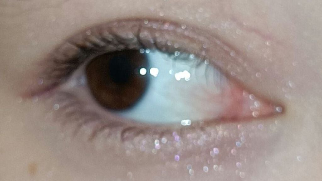 ベターザンアイズ 韓服エディション/rom&nd/アイシャドウパレットを使ったクチコミ(3枚目)