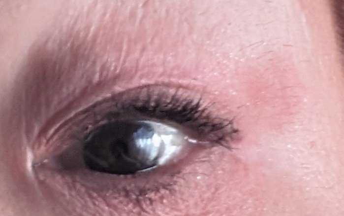 ムードオンアイシャドウ/Lilytone/アイシャドウパレットを使ったクチコミ（2枚目）