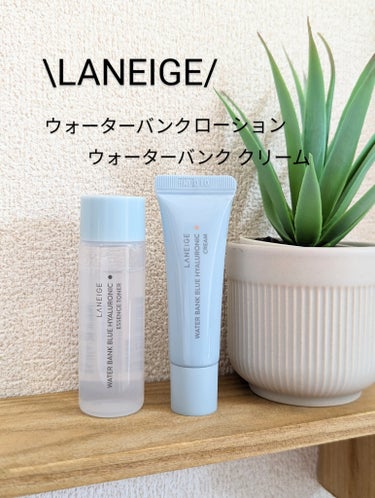 ウォーターバンク ローション （乾燥肌用）/LANEIGE/化粧水を使ったクチコミ（1枚目）