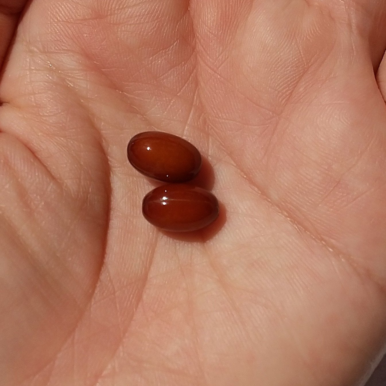 還元型コエンザイムQ10/カネカ/健康サプリメントを使ったクチコミ（2枚目）