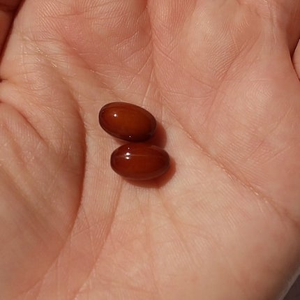 還元型コエンザイムQ10/カネカ/健康サプリメントを使ったクチコミ(2枚目)