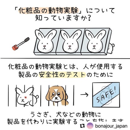 グリーンティーディープクレンジングウォーター/Bonajour/クレンジングウォーターを使ったクチコミ(4枚目)