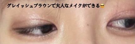 【旧】サンク クルール クチュール/Dior/アイシャドウパレットを使ったクチコミ(5枚目)