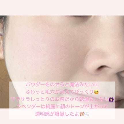 ウォンジョンヨ フィクシングブラーパウダー N/Wonjungyo/ルースパウダーを使ったクチコミ(5枚目)