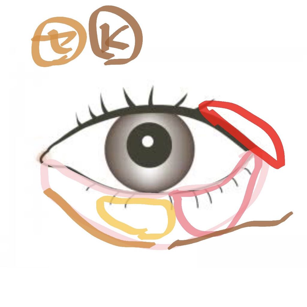 トーンアップアイシャドウ/CEZANNE/アイシャドウパレットを使ったクチコミ（3枚目）