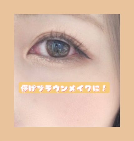 シャドウパレット/dasique/アイシャドウパレットを使ったクチコミ(6枚目)