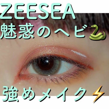 大英博物館 エジプトシリーズ アイシャドウパレット/ZEESEA/パウダーアイシャドウを使ったクチコミ（1枚目）