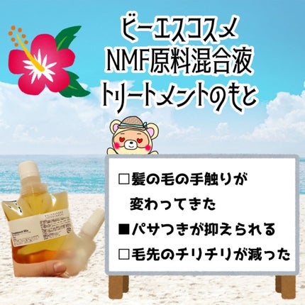 NMF原料混合液 トリートメントのもと/ビーエスコスメ/洗い流すヘアトリートメントを使ったクチコミ(3枚目)
