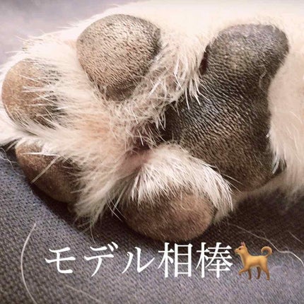 カラフルネイルズ/キャンメイク/マニキュアを使ったクチコミ(4枚目)