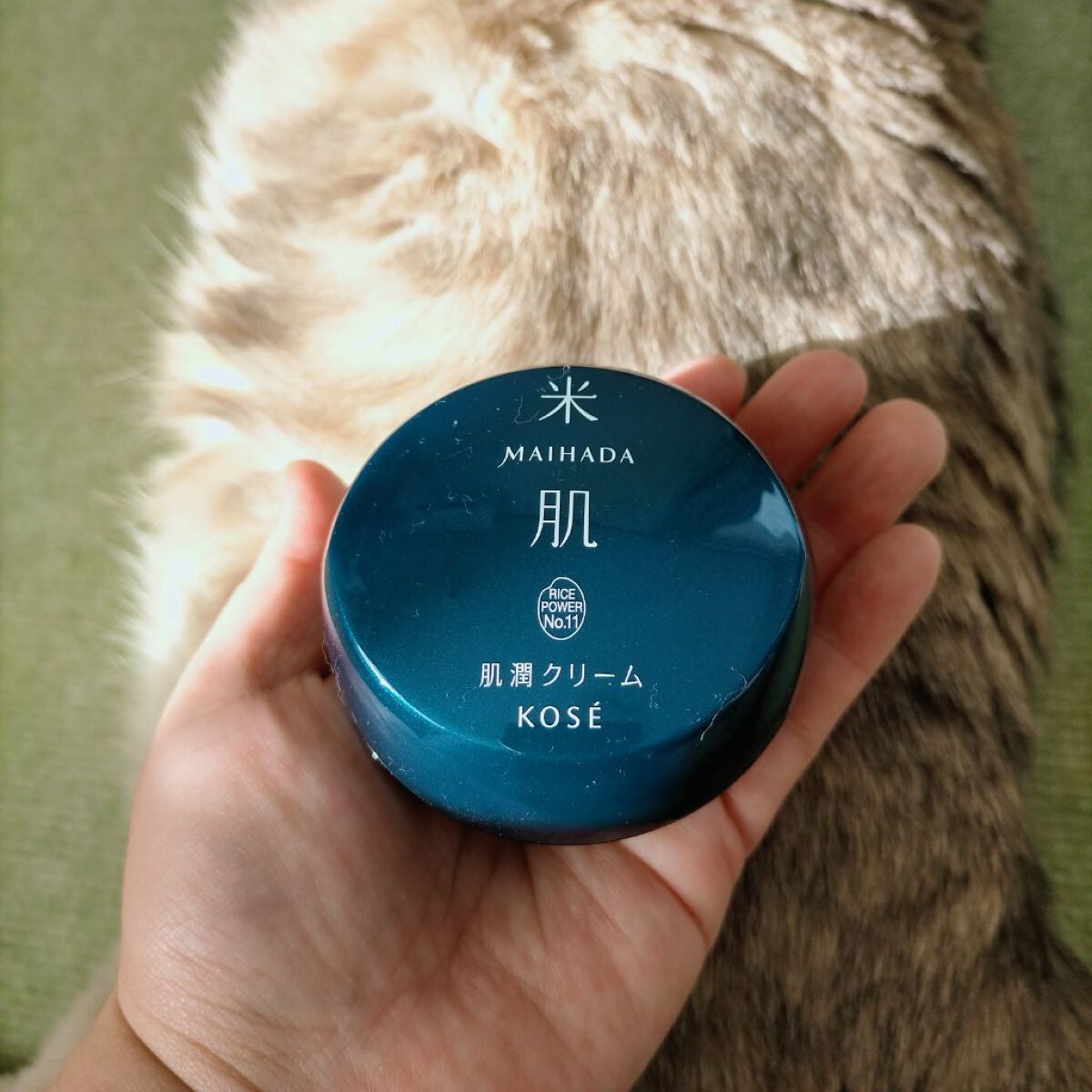 肌潤クリーム/米肌/フェイスクリームを使ったクチコミ(4枚目)