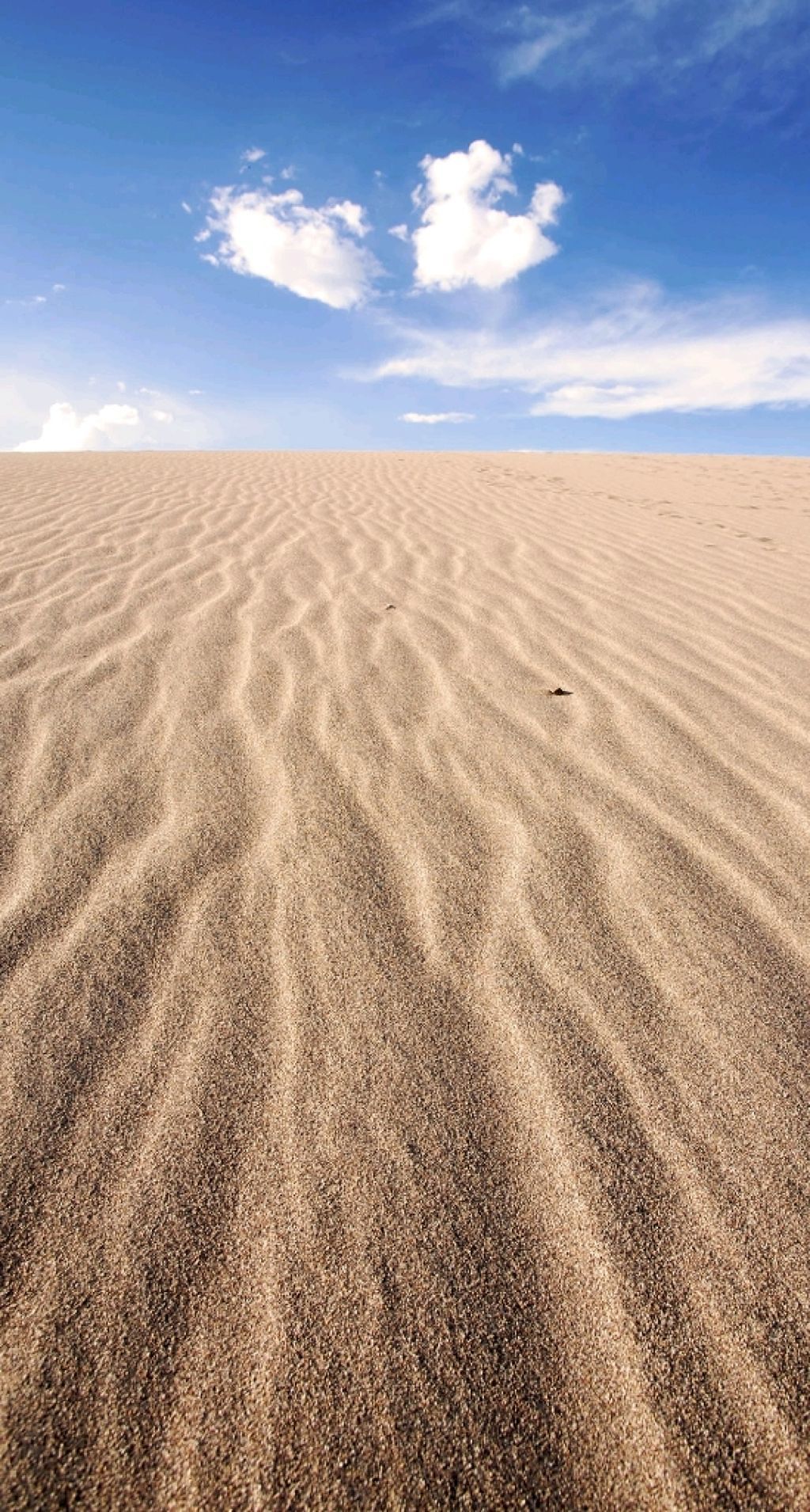 ニベアリップケア 薬用（無香料）/ニベア/リップケアを使ったクチコミ（1枚目）