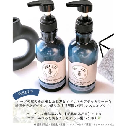 薬用スカルプケアシャンプー/トリートメント モイスト/WELLP/市販シャンプーを使ったクチコミ(2枚目)