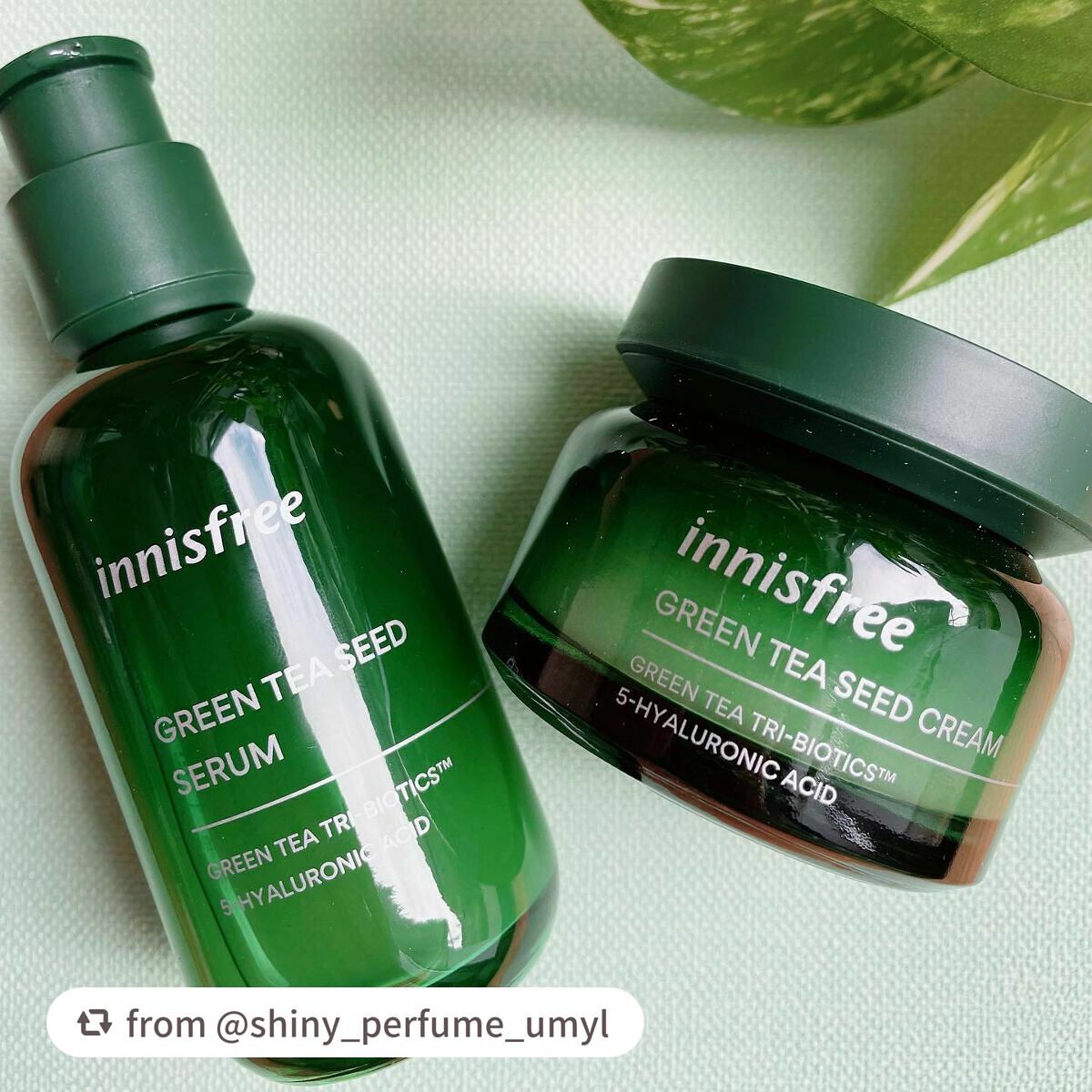 グリーンティーシード セラム N/innisfree/美容液を使ったクチコミ(6枚目)