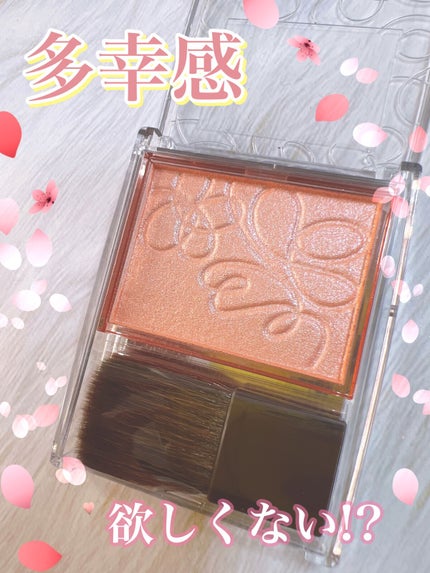 パールグロウニュアンサー/CEZANNE/パウダーハイライトを使ったクチコミ(1枚目)