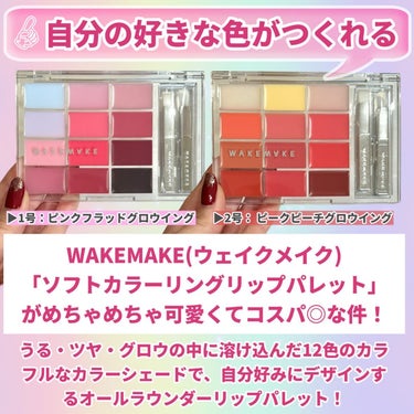 ソフトカラーリングリップパレット/WAKEMAKE/口紅を使ったクチコミ（2枚目）