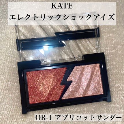 エレクトリックショックアイズ /KATE/アイシャドウパレットを使ったクチコミ(2枚目)