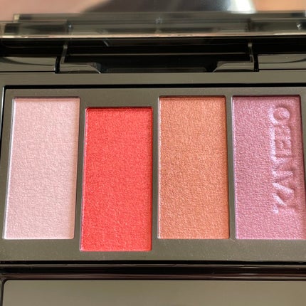 レイヤードカラーズアイシャドウ/KANEBO/アイシャドウパレットを使ったクチコミ(4枚目)