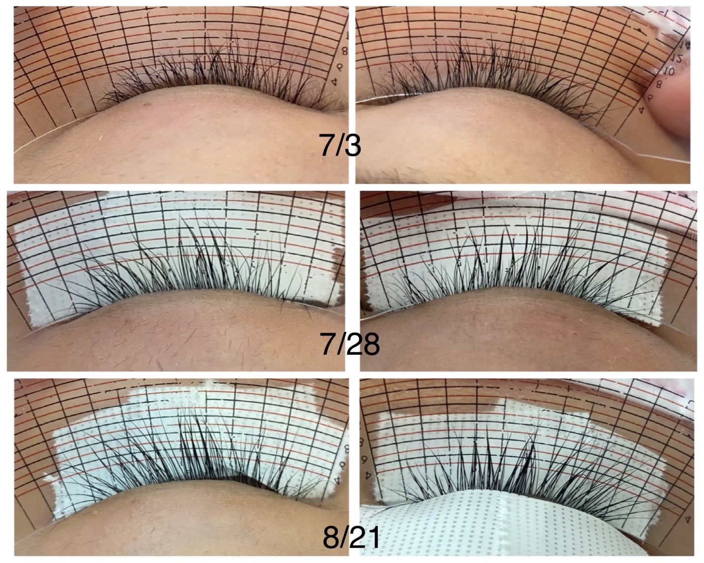 スカルプD ボーテ ピュアフリーアイラッシュセラム　プレミアム/アンファー(スカルプD)/まつげ美容液を使ったクチコミ（3枚目）