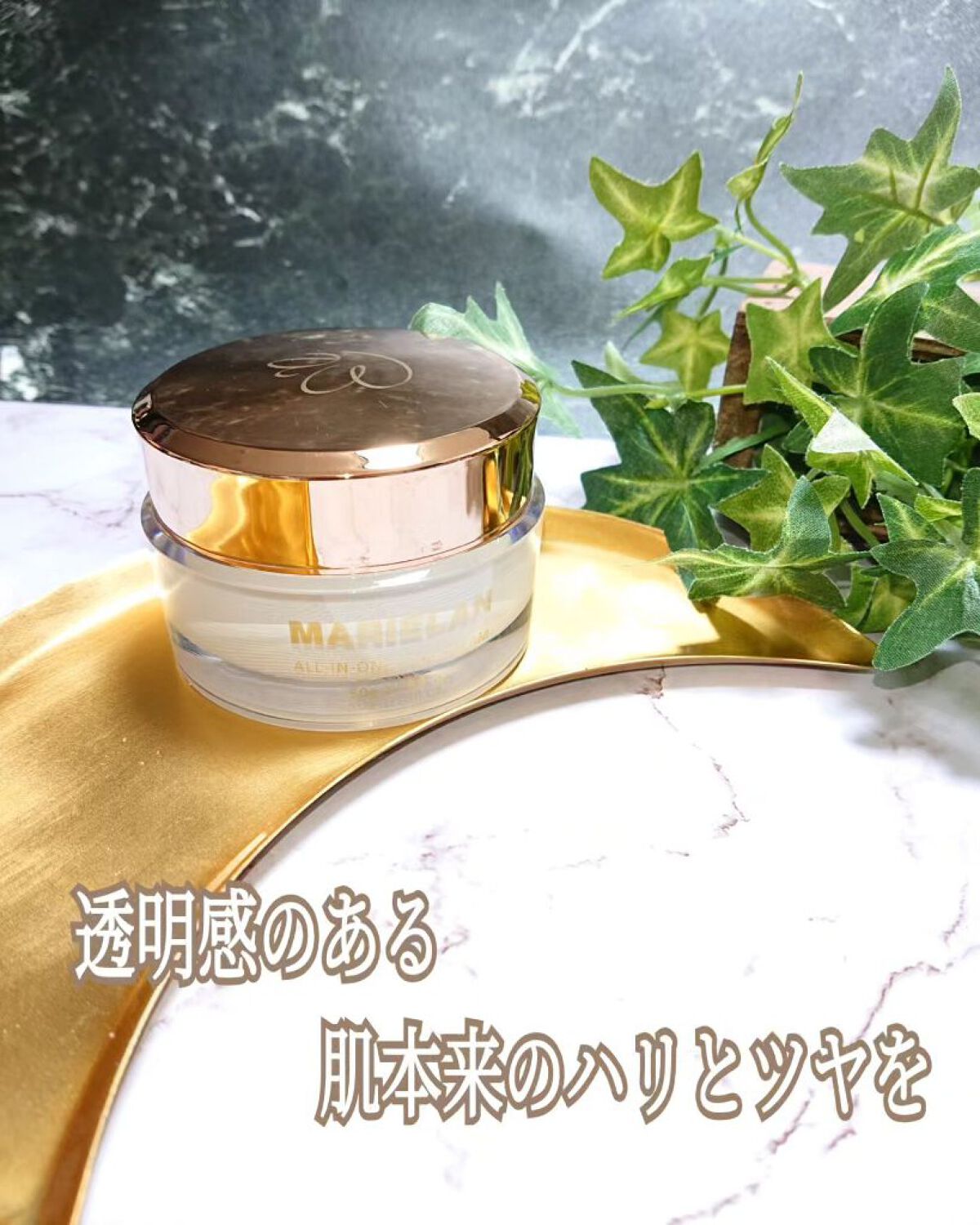 オールインワン フェイスクリーム /MARIÉLAN/オールインワン化粧品を使ったクチコミ（1枚目）