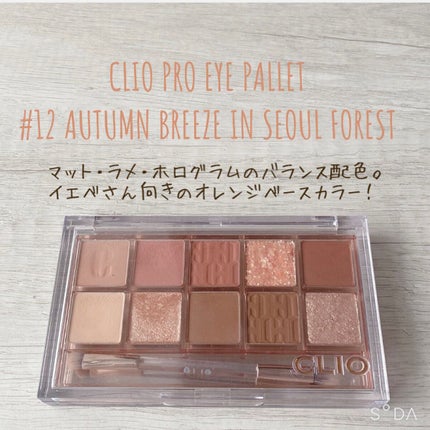 プロ アイ パレット/CLIO/アイシャドウパレットを使ったクチコミ(3枚目)