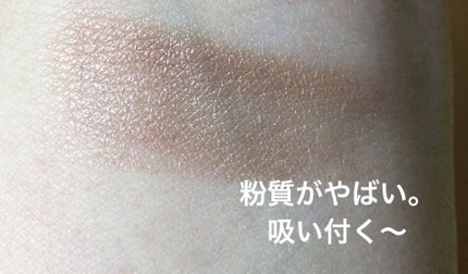 AQ アイシャドウ/DECORTÉ/単色アイシャドウを使ったクチコミ(3枚目)