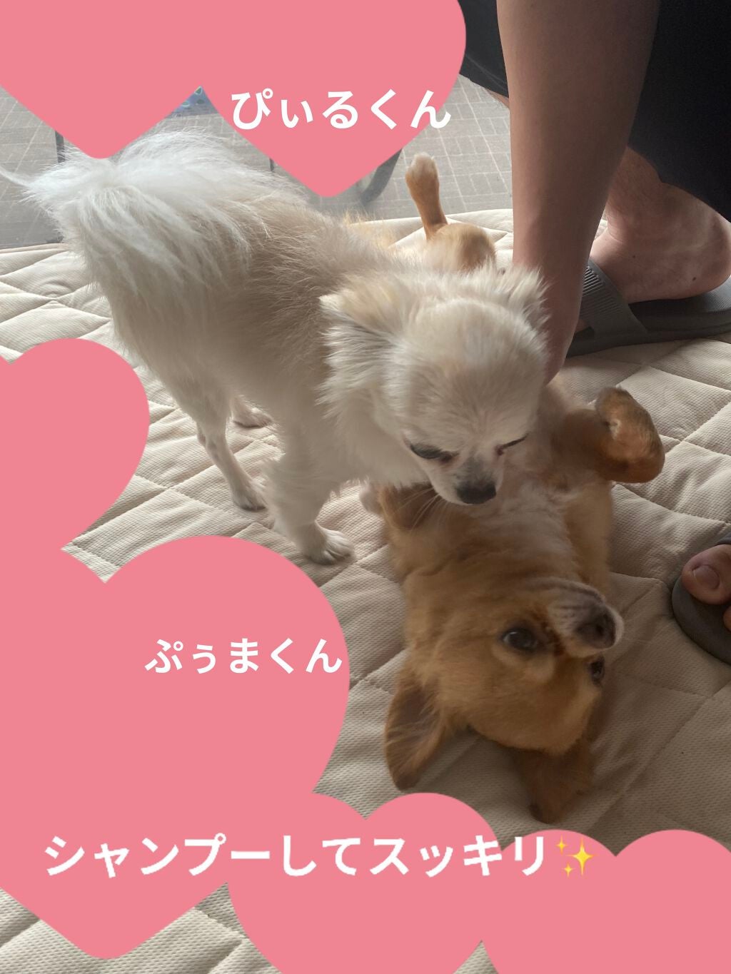 エルジューダ ブリーチケア ジェルセラム/ミルボン/洗い流すヘアトリートメントを使ったクチコミ(7枚目)