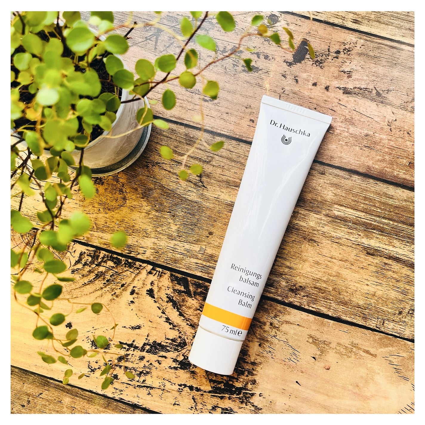 クレンズクリーム/ドクターハウシュカ /その他洗顔料を使ったクチコミ(1枚目)