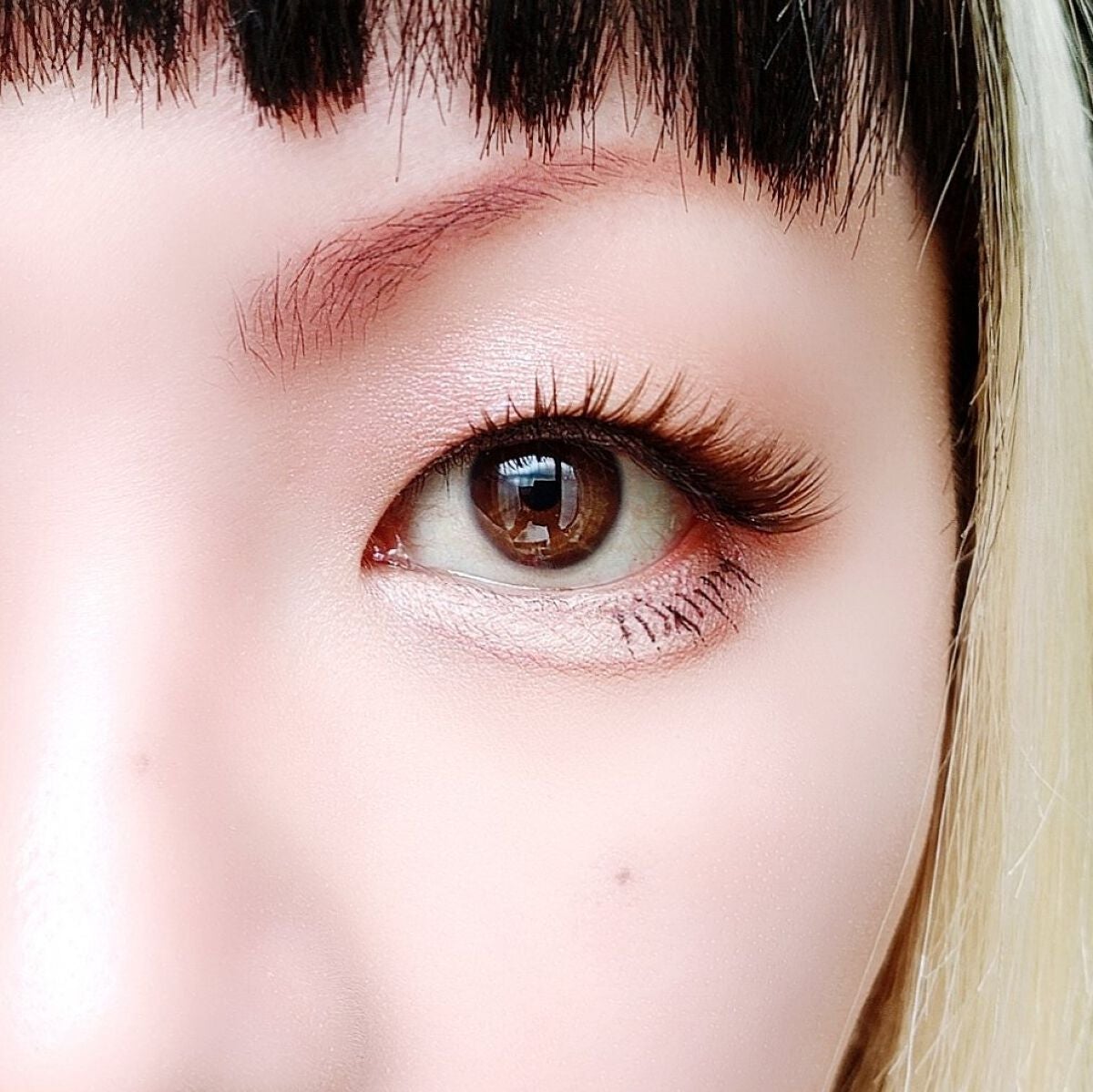 ニュアンスオンアイシャドウ/CEZANNE/アイシャドウパレットを使ったクチコミ(6枚目)